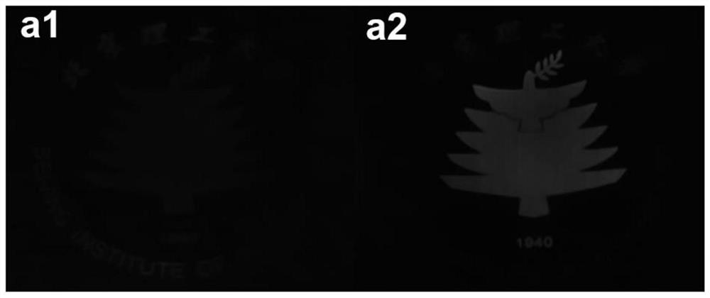 Anti-counterfeiting and information security method based on near-infrared luminescent quantum dots