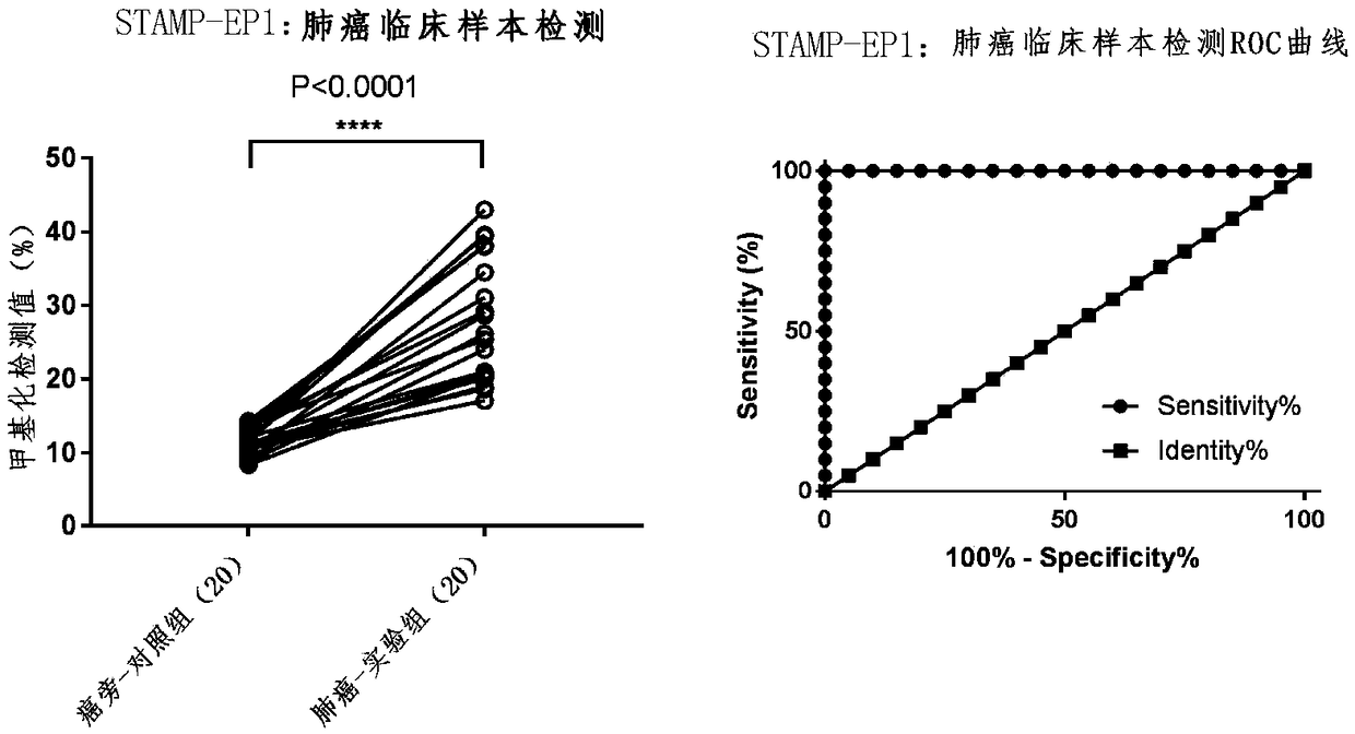 Tumor marker STAMP-EP1 based on methylated modification