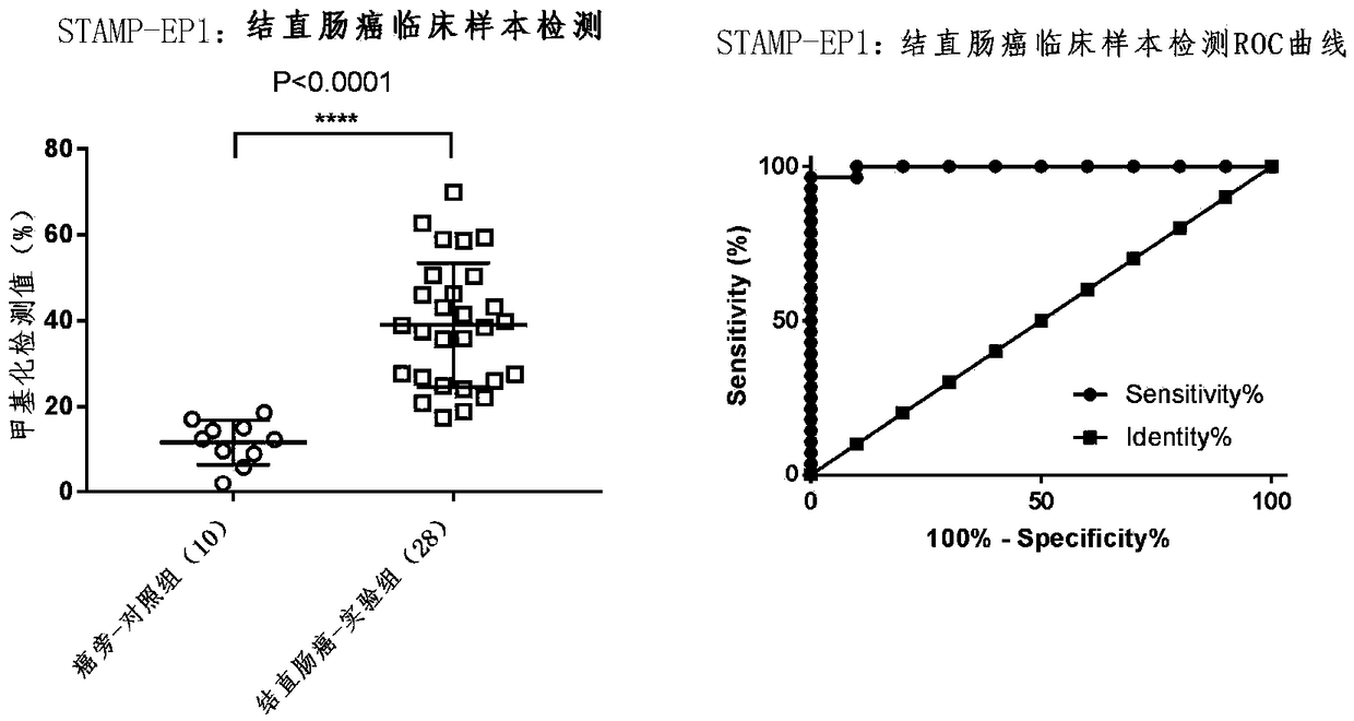 Tumor marker STAMP-EP1 based on methylated modification