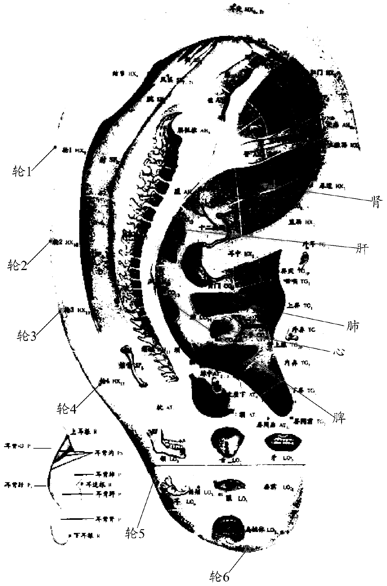 Traditional Chinese medicine ear diagnosis image processing method and device