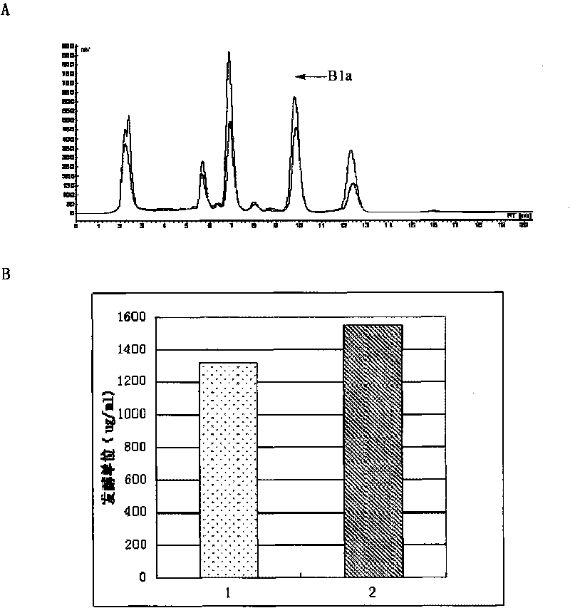 Method for increasing yield of avermectin by using regulatory protein gene