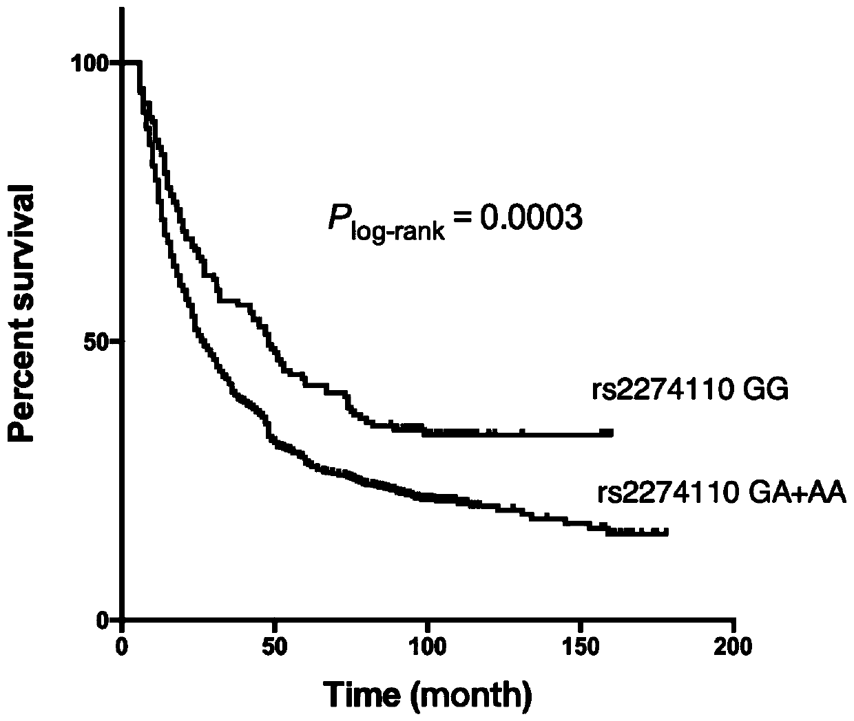A SNP marker associated with the prognosis of patients with esophageal cancer and its application