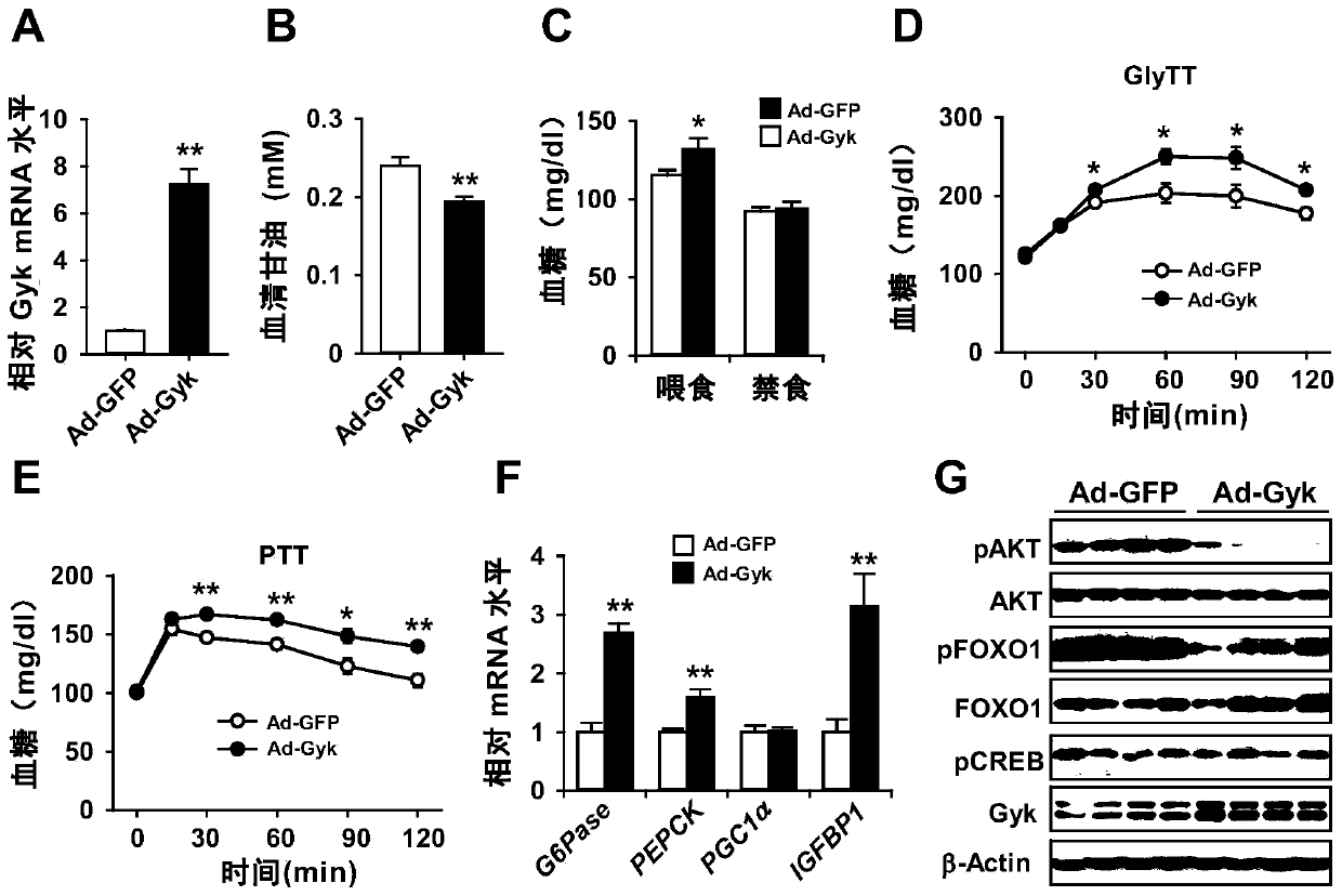 Use of glycerol kinase as a therapeutic target for disorders of glucose metabolism