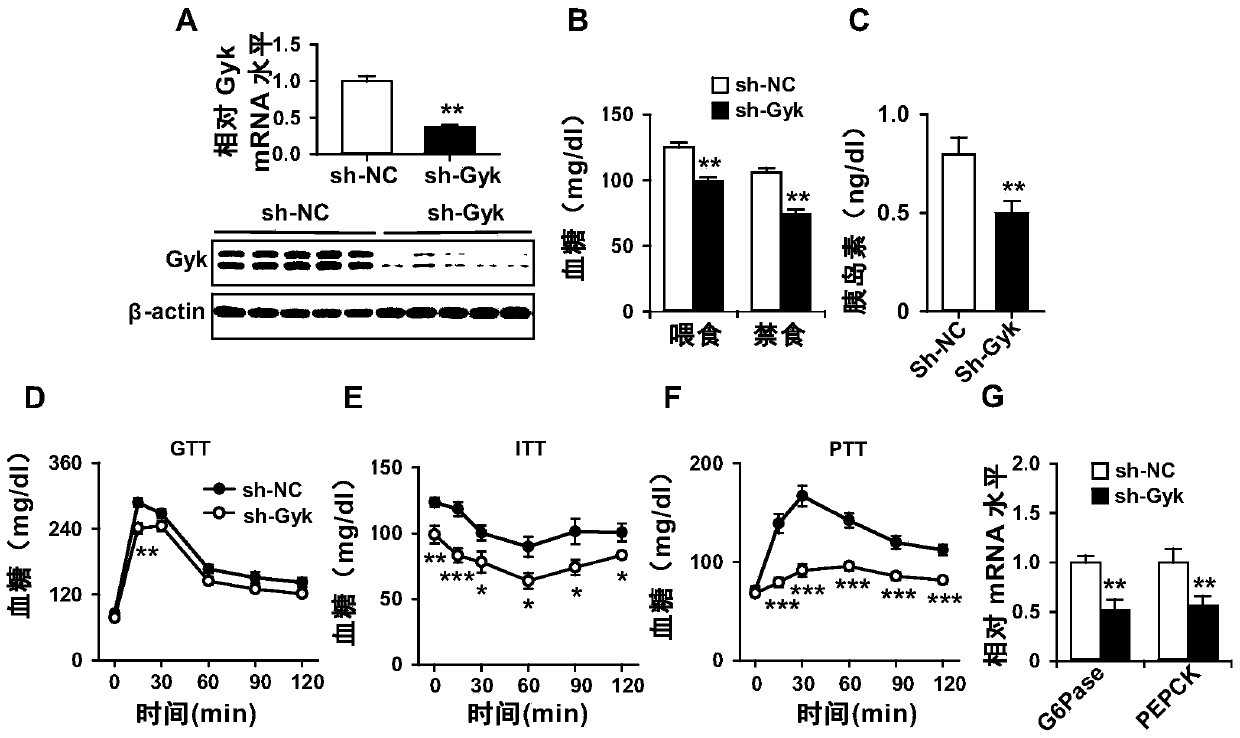 Use of glycerol kinase as a therapeutic target for disorders of glucose metabolism