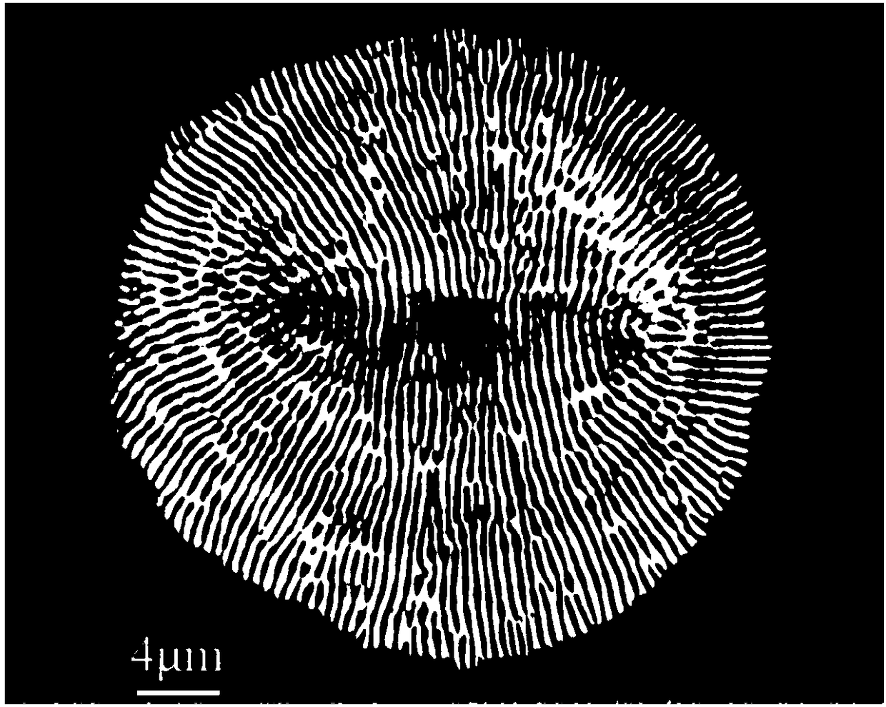 Femtosecond laser direct writing preparation method of a two-dimensional submicron butterfly metal microstructure