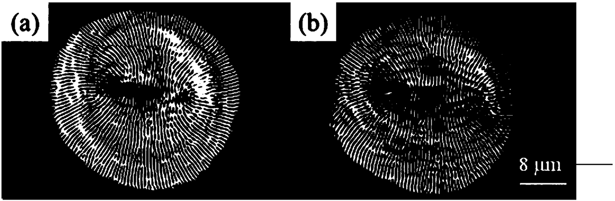 Femtosecond laser direct writing preparation method of a two-dimensional submicron butterfly metal microstructure