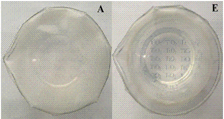 Nanometer antifogging film for fruits and vegetables and preparation method of nanometer antifogging film