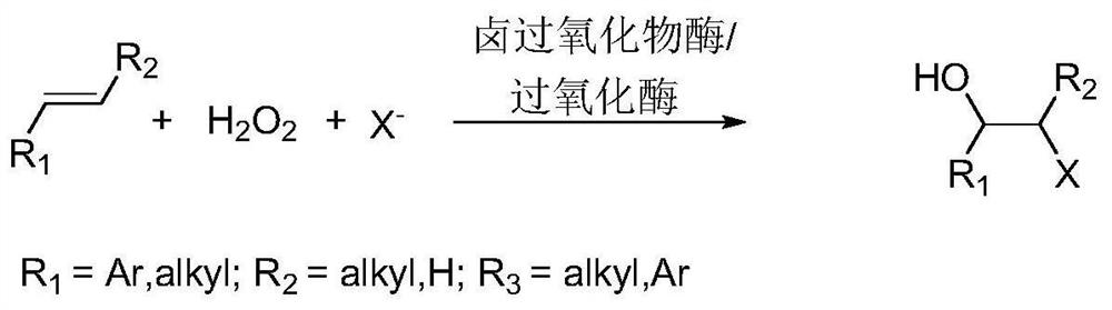 A kind of method for preparing β-haloether and β-halohydrin catalyzed by peroxidase