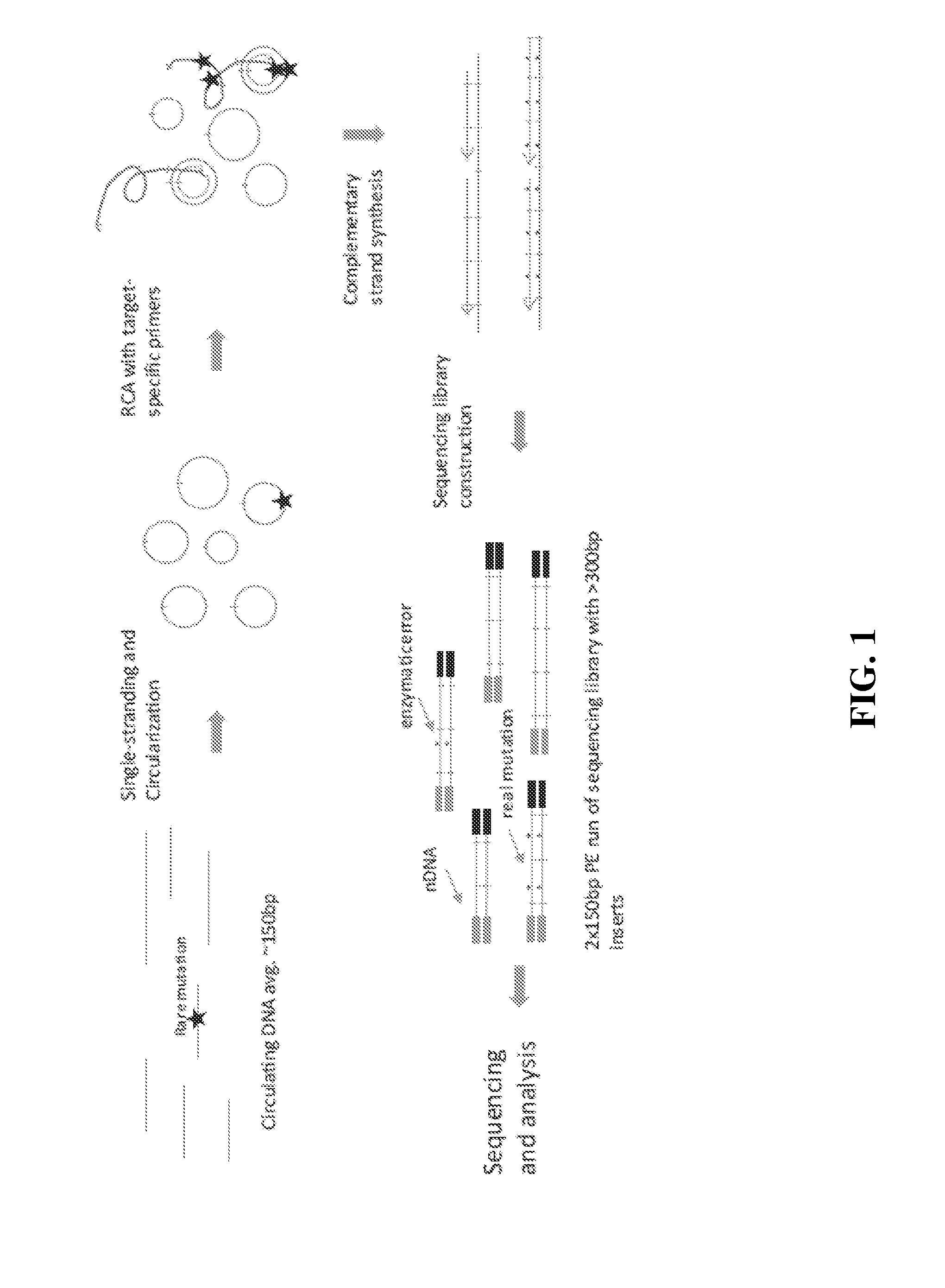Compositions and methods for detecting rare sequence variants