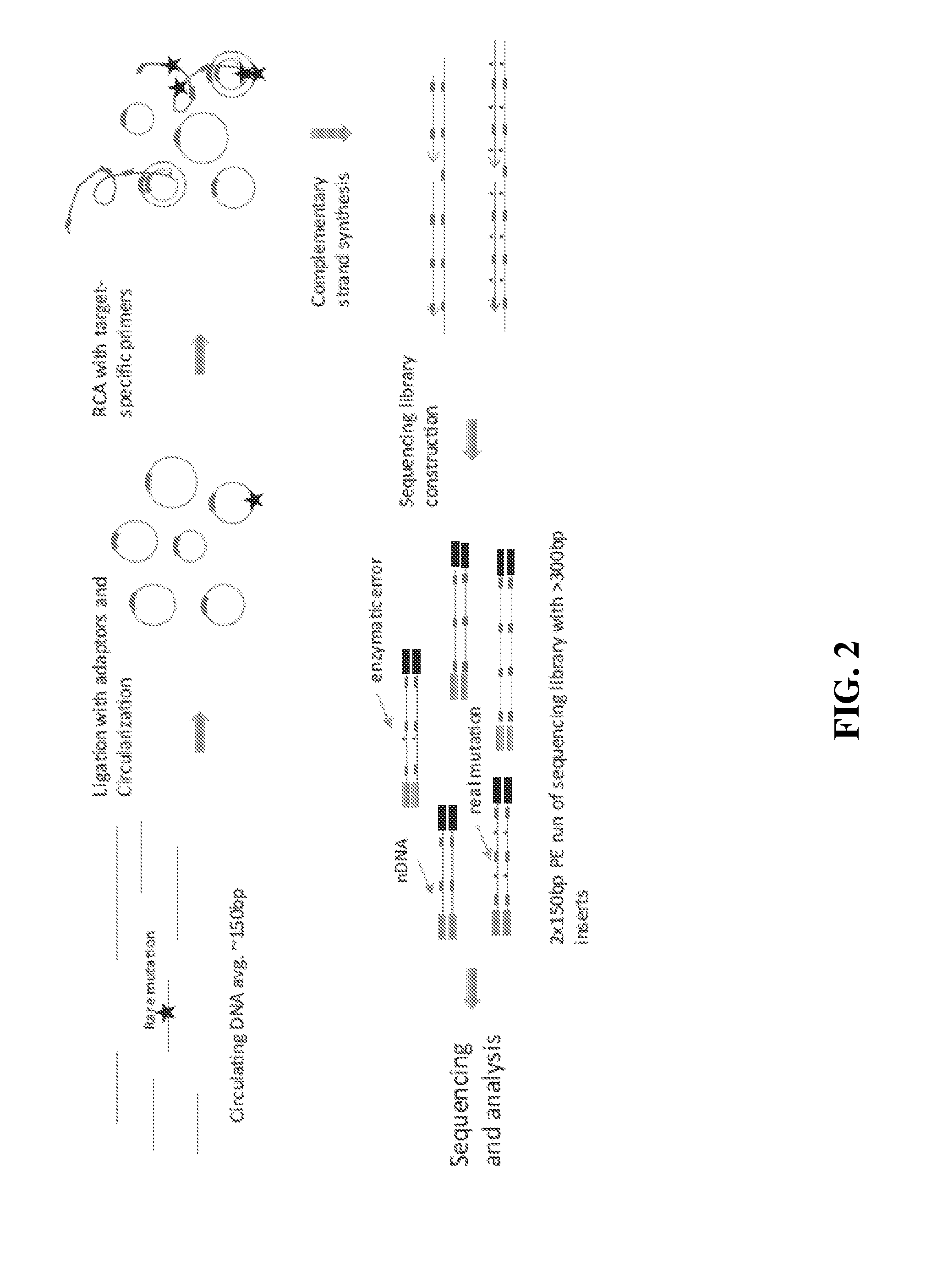 Compositions and methods for detecting rare sequence variants
