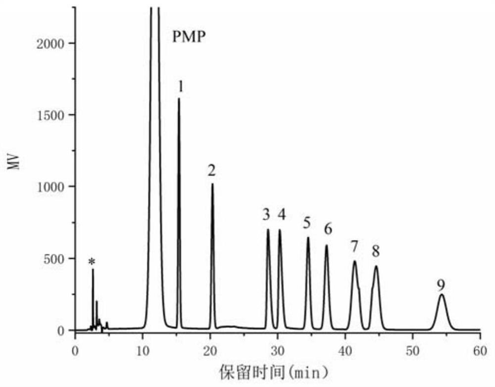 A kind of yellow big tea acidic polysaccharide with lipid-lowering activity and its preparation method and application