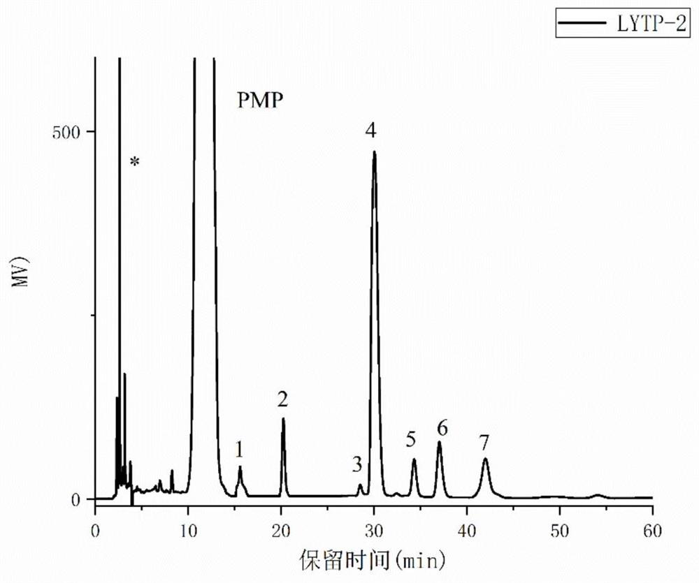 A kind of yellow big tea acidic polysaccharide with lipid-lowering activity and its preparation method and application