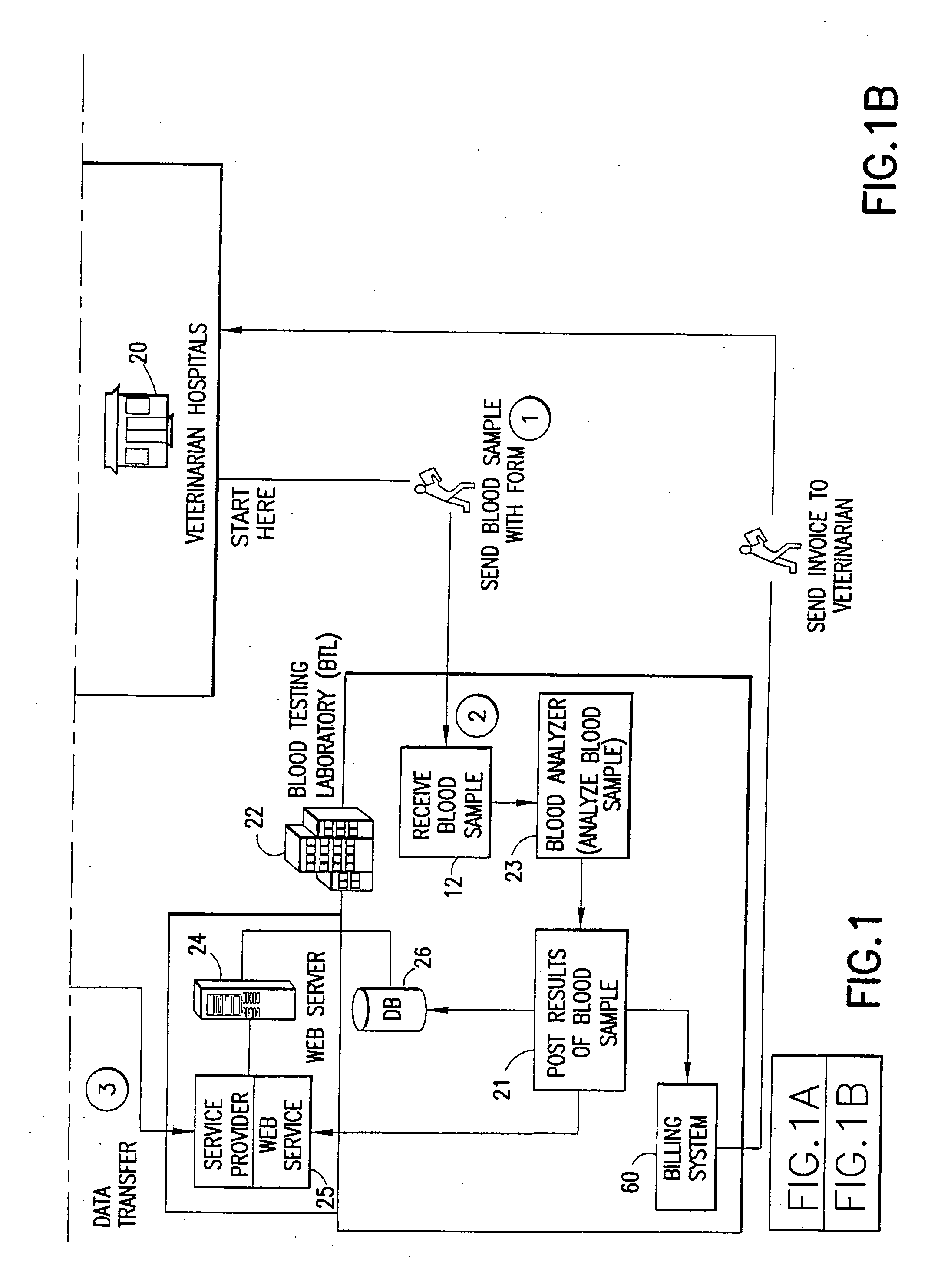 Methods and systems for providing a nutraceutical program specific to an individual animal