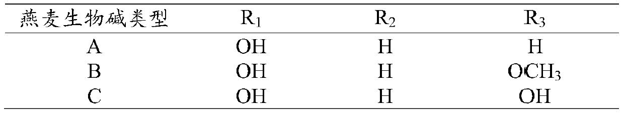 Oat total alkaloid, anti-skin-allergy composition and preparation method of anti-skin-allergy composition