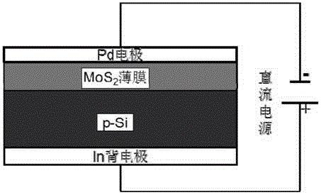 MoS2/Si p-n junction solar cell device and preparation method thereof