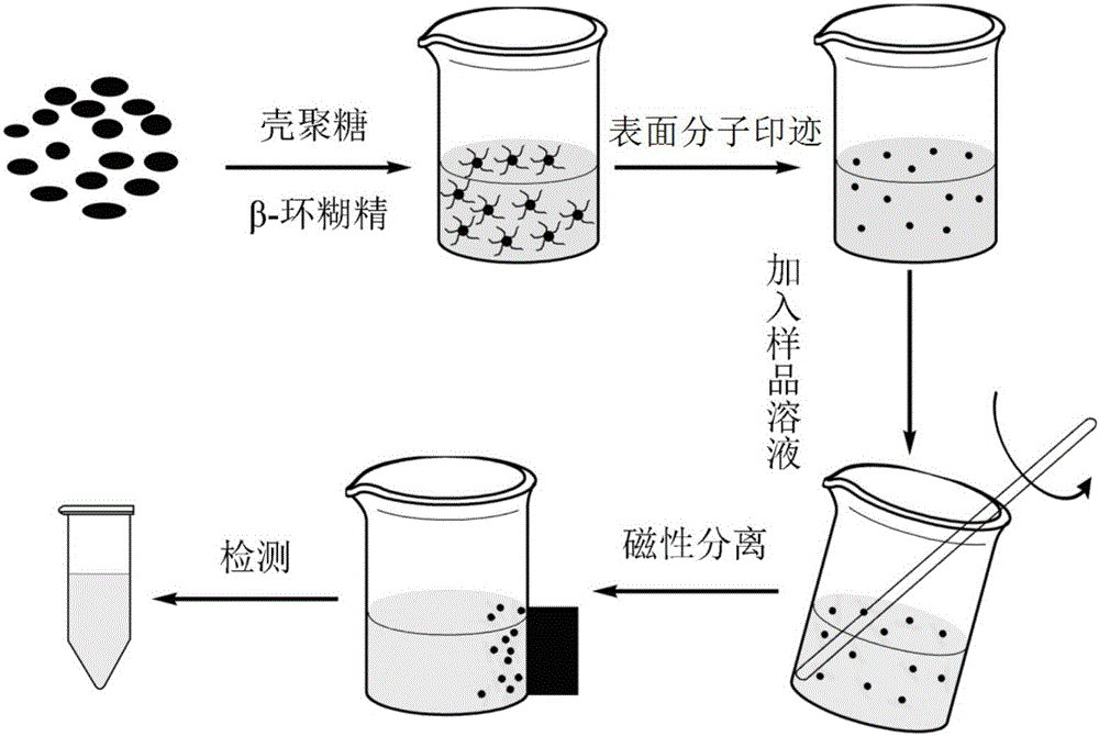 Surface molecularly imprinted composite material as well as preparation method and application thereof