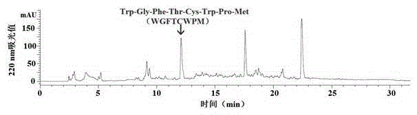 Method for preparing zinc chelated peptide by utilizing shrimp meat offal