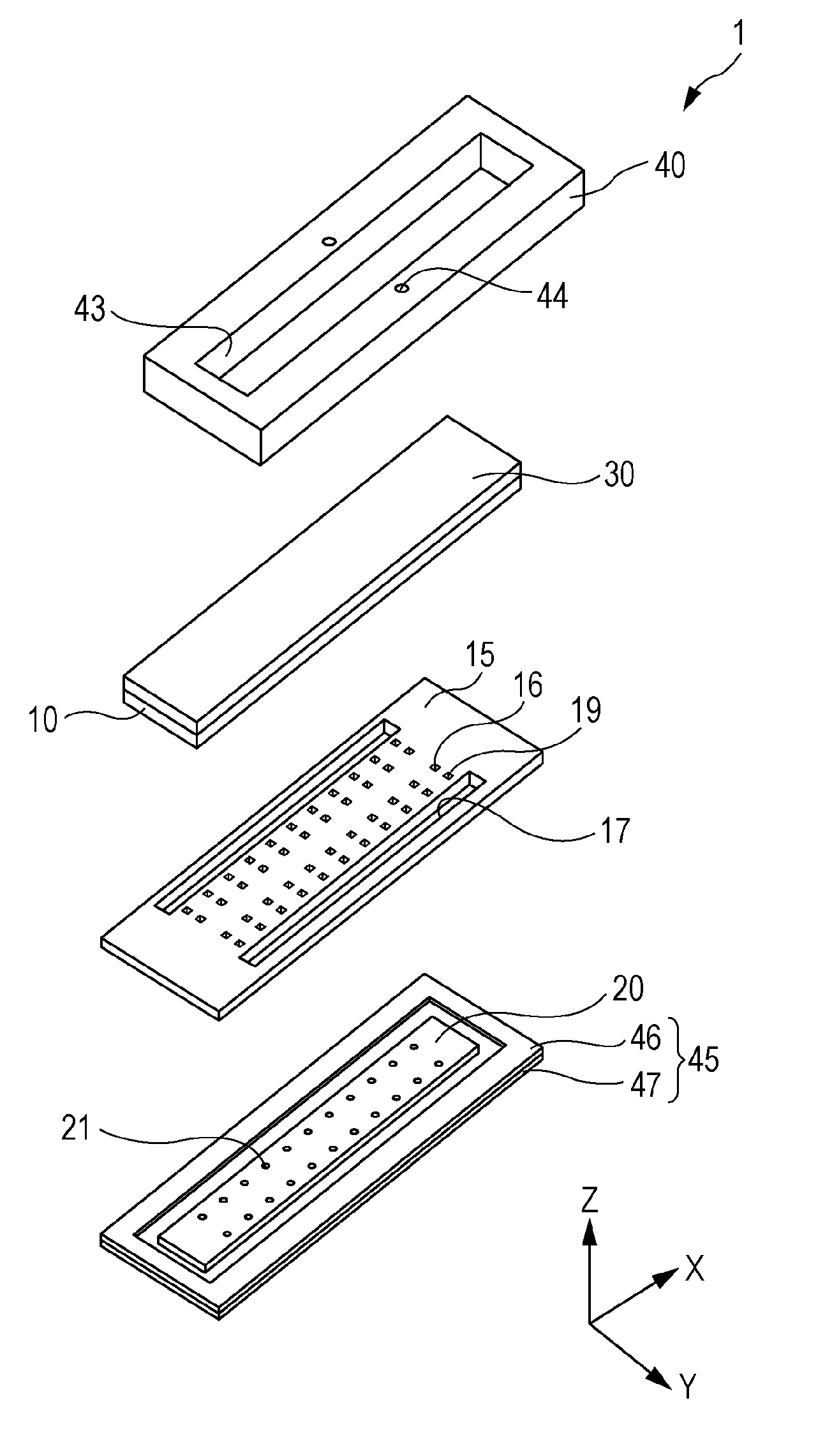 Head and liquid ejecting apparatus