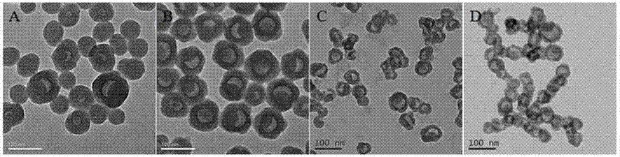 Preparation method of degradable silicon dioxide particle internally doped with polyphenol-metal mesh