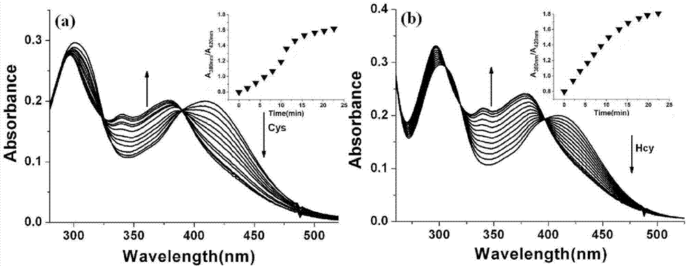Two-photon fluorescent probe as well as preparation method and application thereof