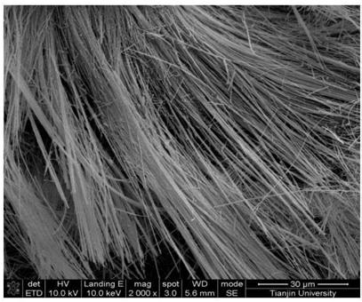 Method for preparing magnesium oxide crystal whiskers from brine through hydrothermal-basic magnesium chloride precursor