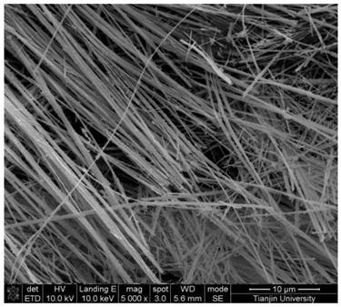 Method for preparing magnesium oxide crystal whiskers from brine through hydrothermal-basic magnesium chloride precursor