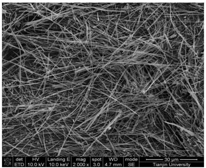 Method for preparing magnesium oxide crystal whiskers from brine through hydrothermal-basic magnesium chloride precursor