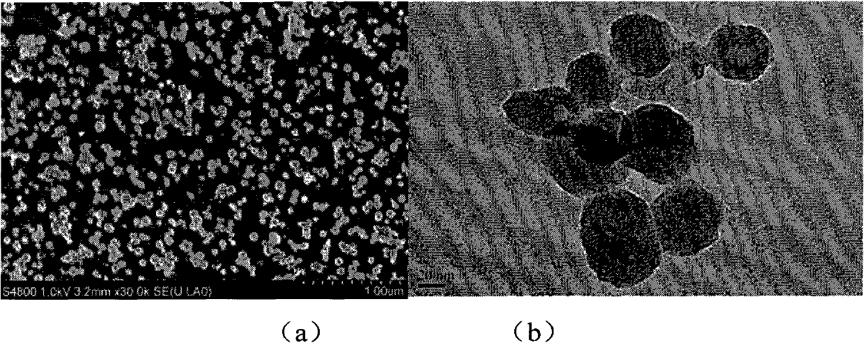 Ir-Gd metal complex fluorescent nanoparticle and preparation method and application thereof