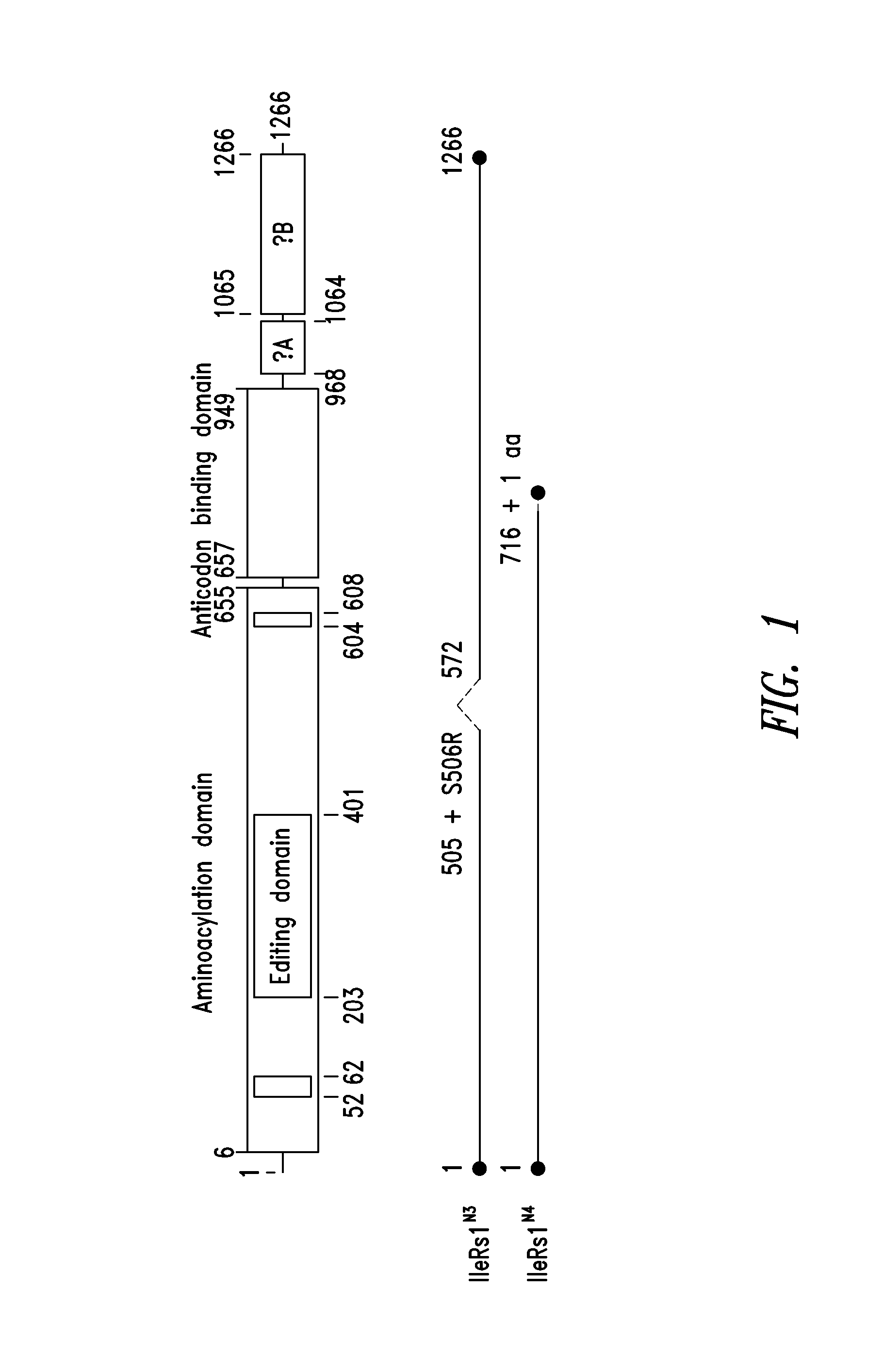 Innovative discovery of therapeutic, diagnostic, and antibody compositions related to protein fragments of isoleucyl tRNA synthetases