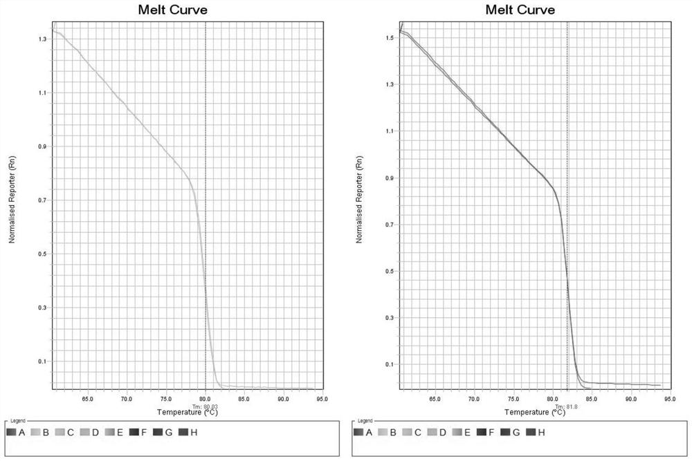 A method for monitoring the genetic quality of inbred mice using microsatellite technology