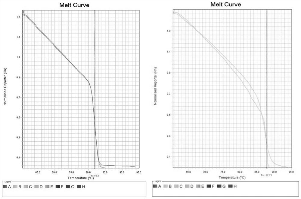 A method for monitoring the genetic quality of inbred mice using microsatellite technology