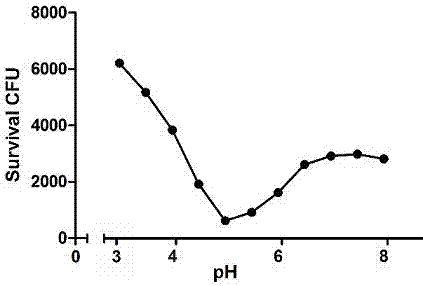 Fusion lyase for lysis of Escherichia coli from outside of bacteria