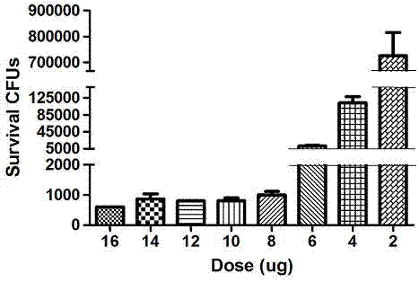 Fusion lyase for lysis of Escherichia coli from outside of bacteria