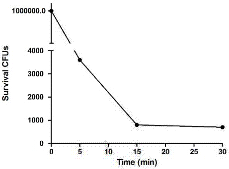 Fusion lyase for lysis of Escherichia coli from outside of bacteria