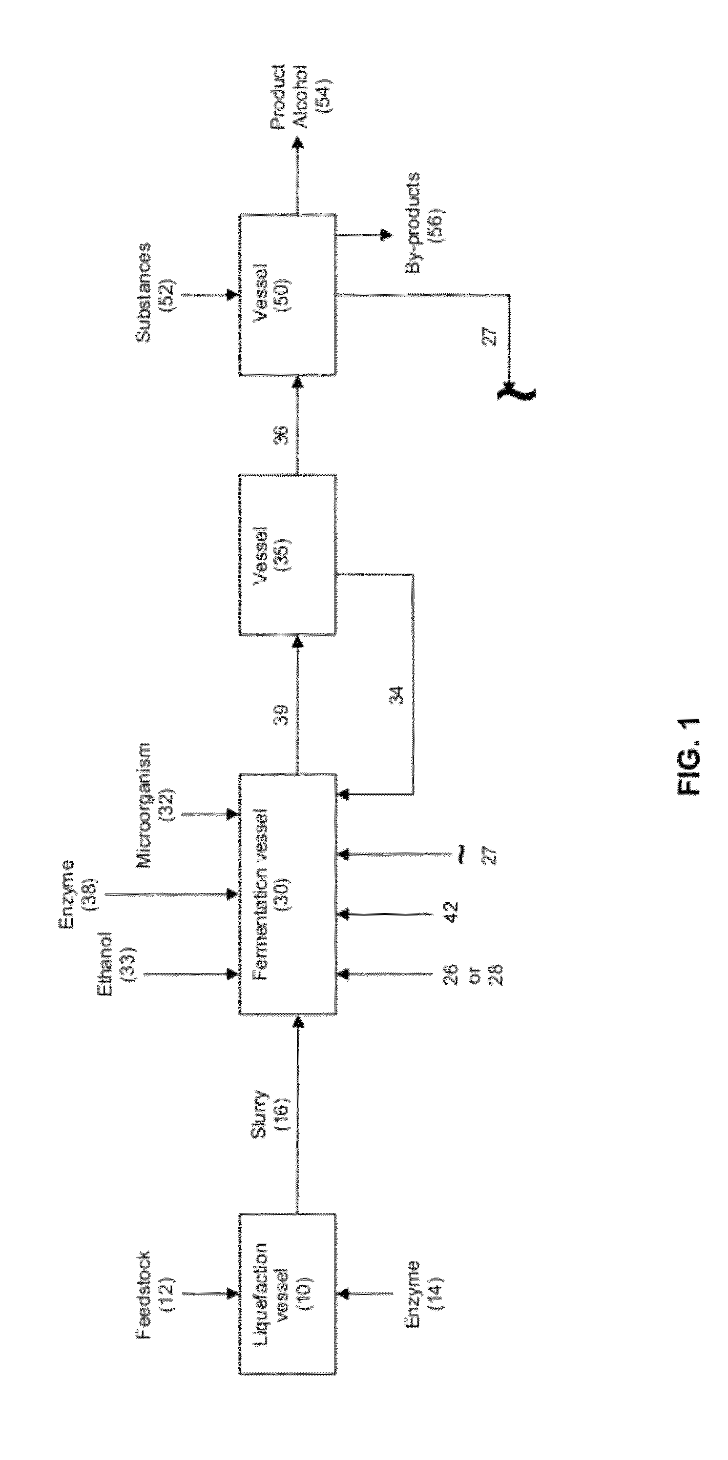 Production of alcohol esters and in situ product removal during alcohol fermentation