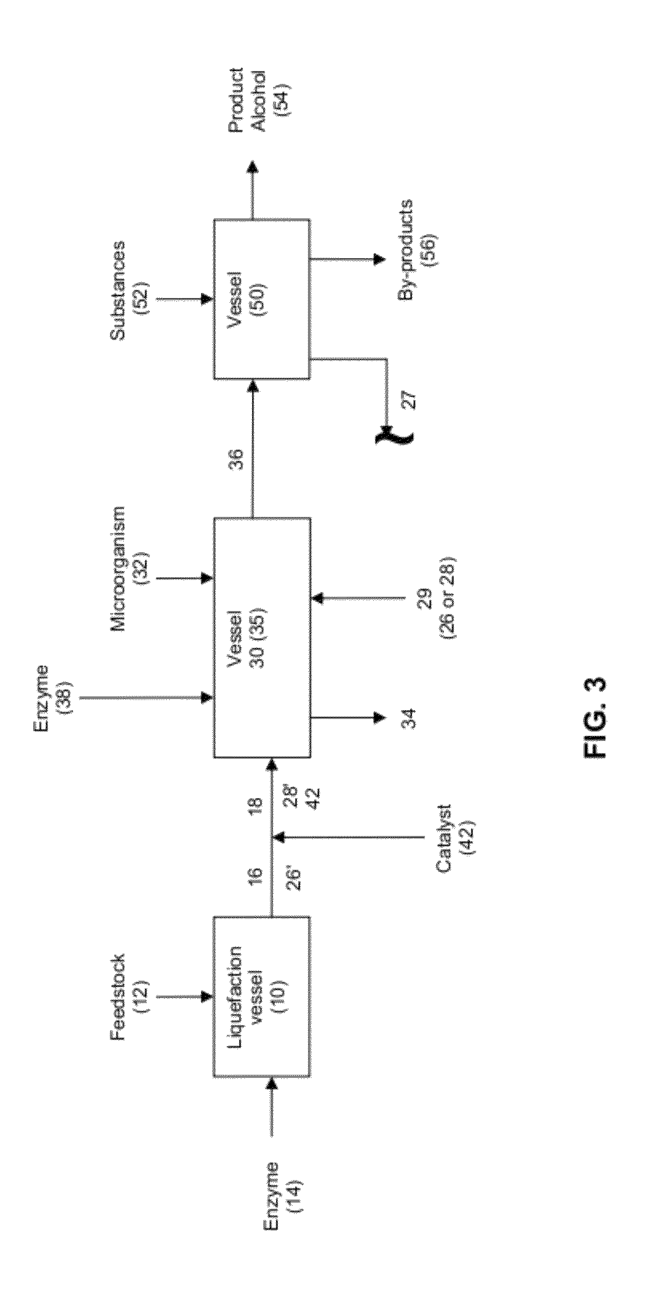 Production of alcohol esters and in situ product removal during alcohol fermentation