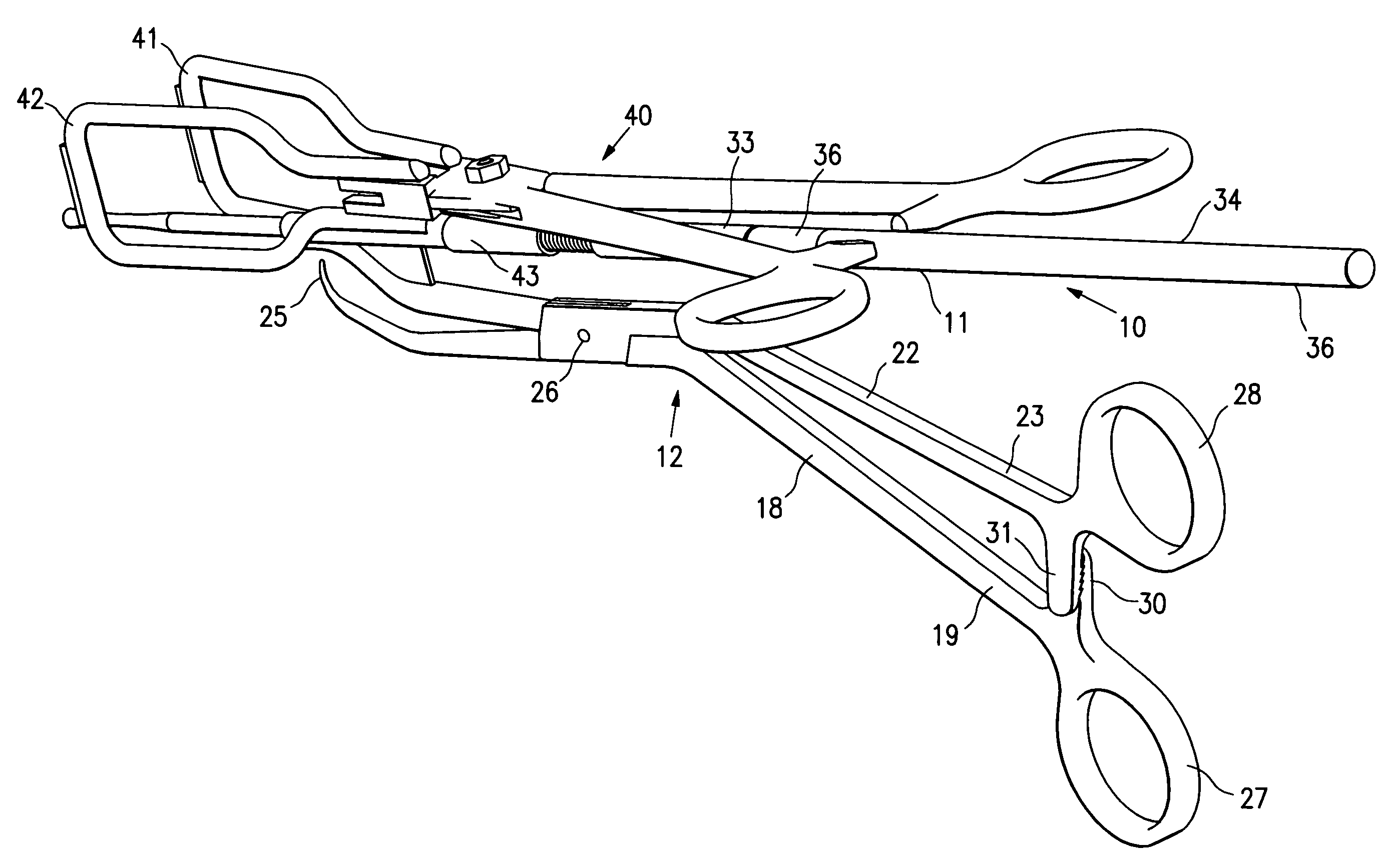 Tenaculum-like device for intravaginal instrument delivery