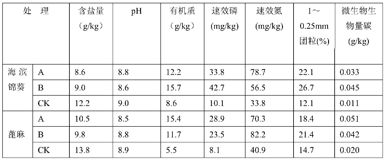 Special microbial fertilizer for seaside solonchak, and preparation method and application of microbial fertilizer