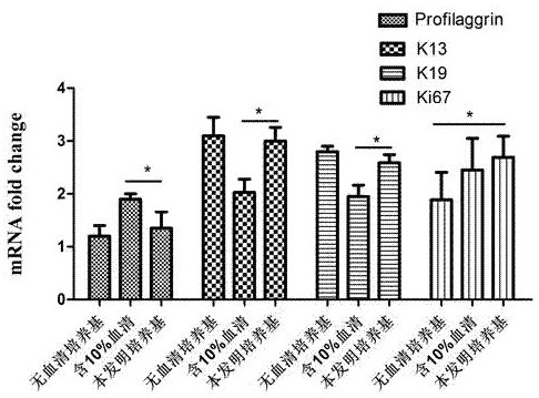 A serum-containing oral mucosal epithelial cell culture solution