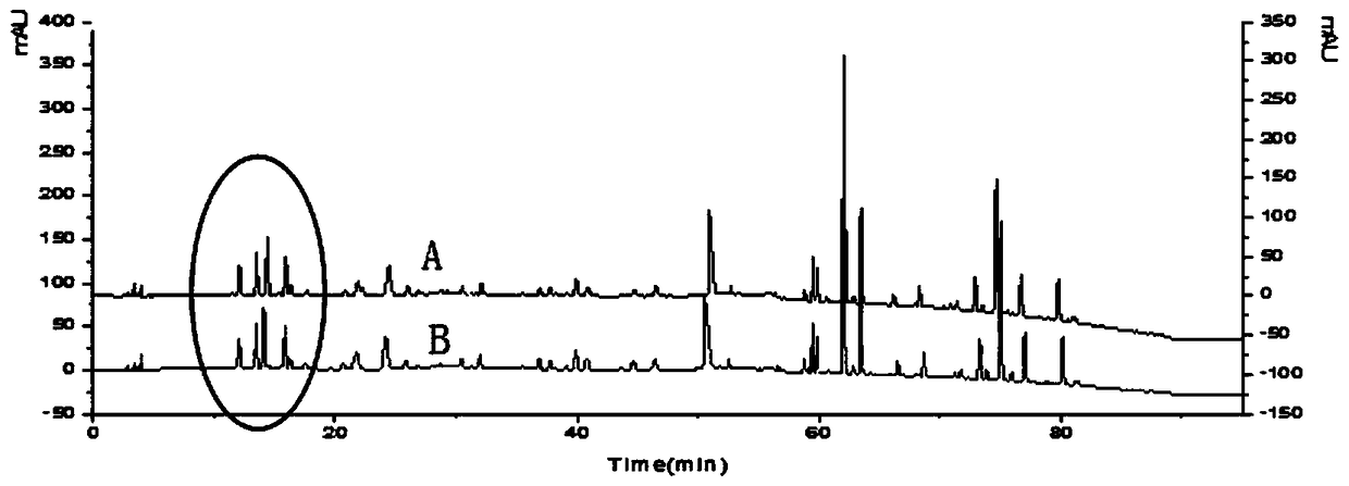 Construction method for fructus evodiae medicinal material characteristic spectrum, and fructus evodiae medicinal material quality detection method