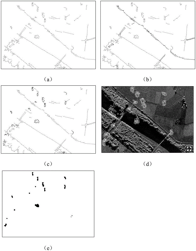 SAR image segmentation method based on ridgelet filters and convolution structure model