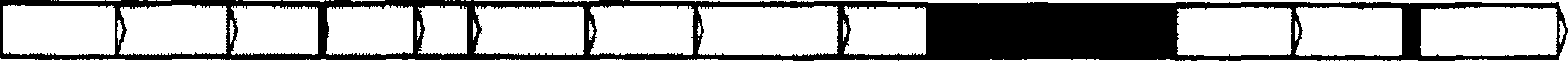 Nucleotide specific for shigella dysenteiae 10 O-antigen