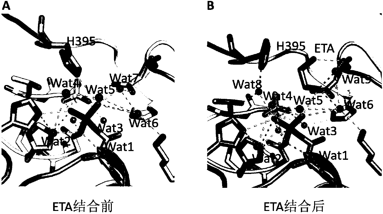 Small-molecule inhibitor for polymyxin drug resistance proteins and application thereof