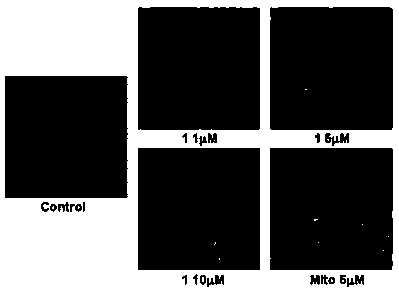 Bis(2-acetylpyrazine) thiocarbonohydrazone and preparation method and application of bismuth (III) complex thereof