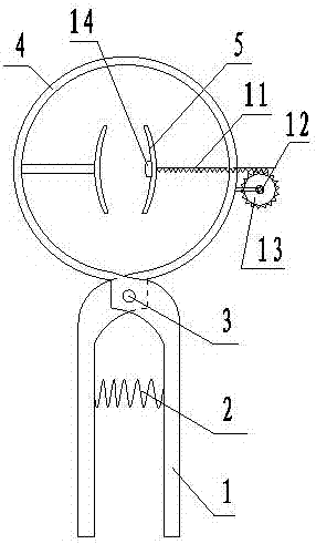 Pomelo tree girdling device capable of human-assistance hand-held gear-rack reducing branch clamping