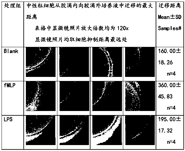 Novel application of hyaluronic acid fragment and stable making method