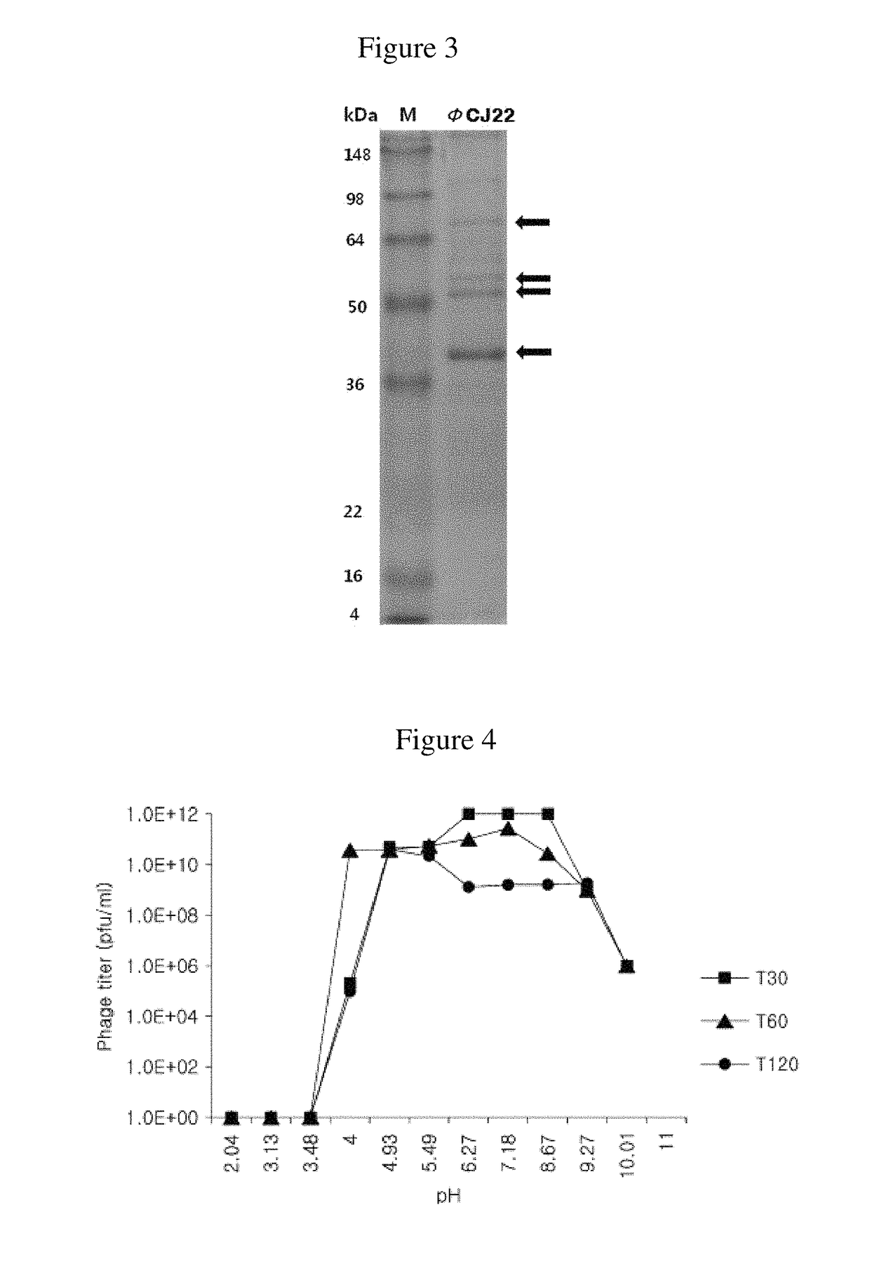 Bacteriophage and antibacterial composition comprising the same