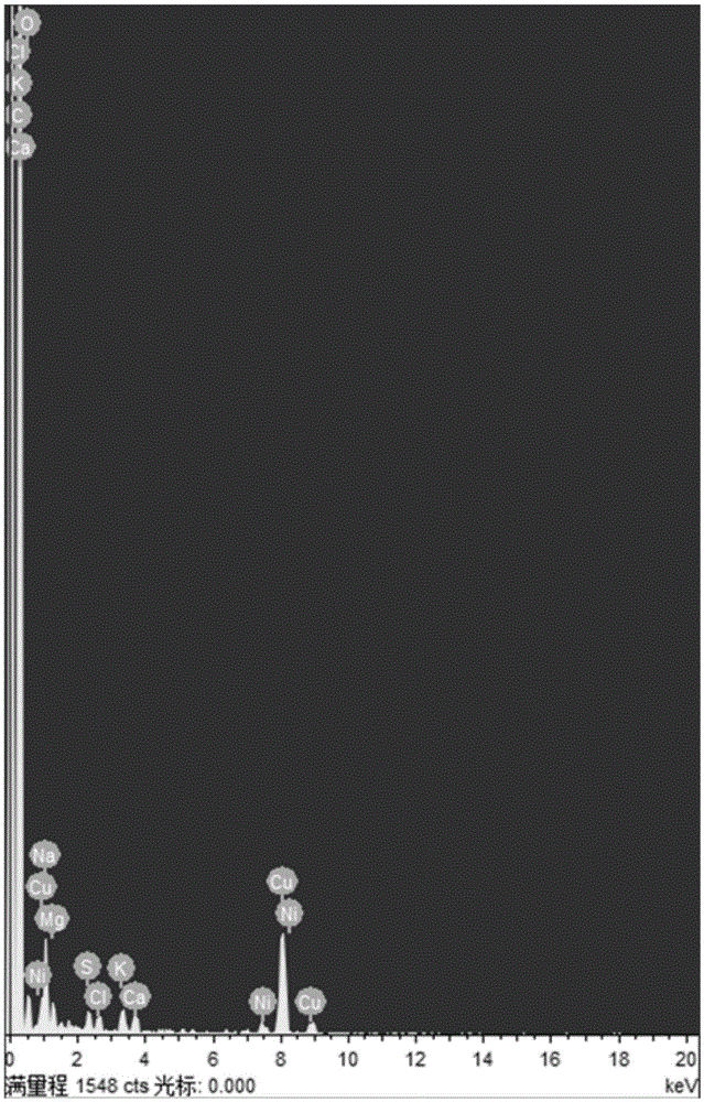 A kind of surface modification method of carbon nanotube