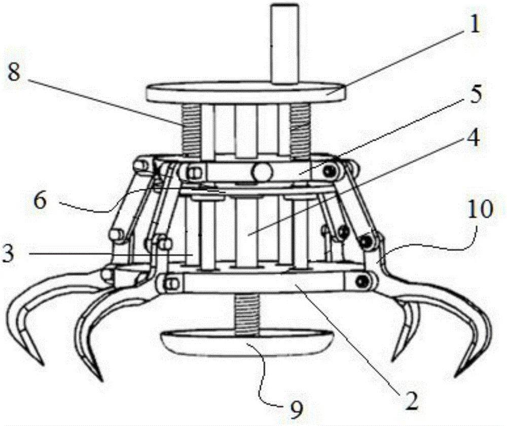 Interconnected elastic mechanical gripper
