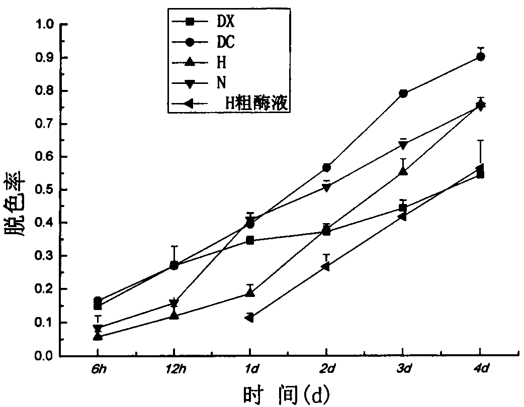 A kind of separation optimization method and application of laccase-producing fungal strain